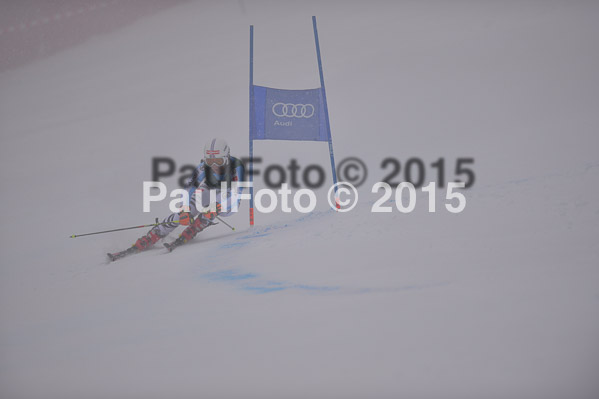 FIS + NJR Rennen Damen + Herren RS 2015