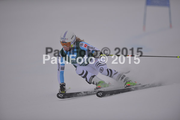 FIS + NJR Rennen Damen + Herren RS 2015