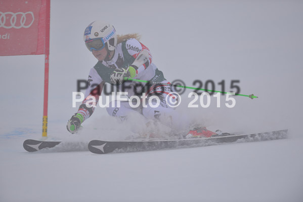 FIS + NJR Rennen Damen + Herren RS 2015