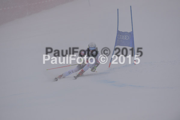 FIS + NJR Rennen Damen + Herren RS 2015