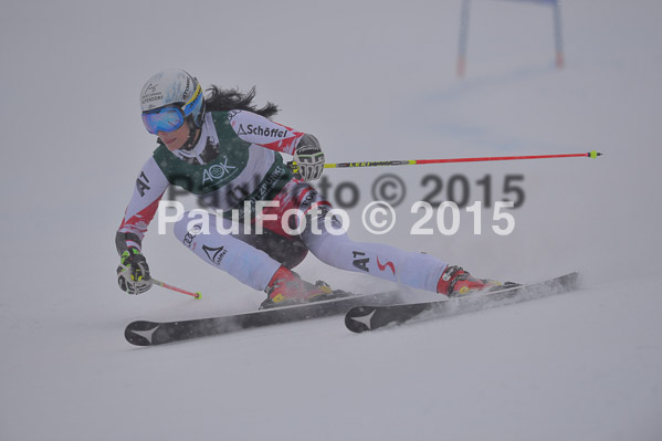 FIS + NJR Rennen Damen + Herren RS 2015