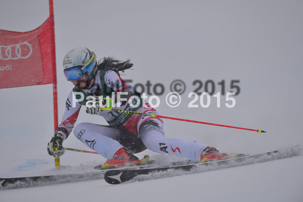 FIS + NJR Rennen Damen + Herren RS 2015
