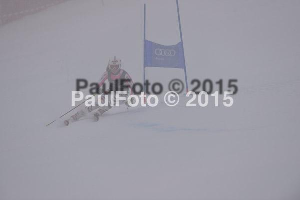 FIS + NJR Rennen Damen + Herren RS 2015