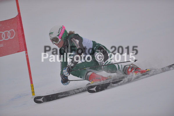 FIS + NJR Rennen Damen + Herren RS 2015