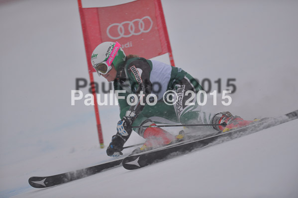 FIS + NJR Rennen Damen + Herren RS 2015