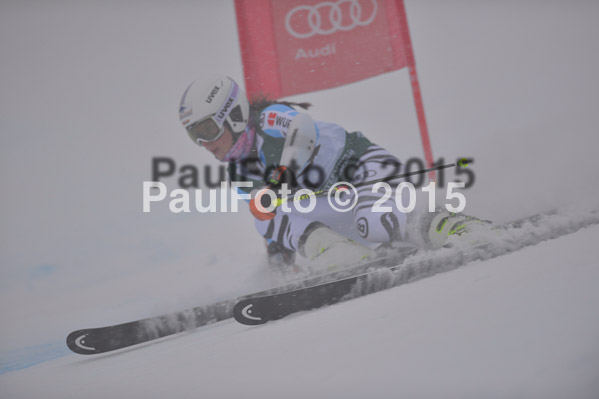 FIS + NJR Rennen Damen + Herren RS 2015