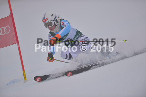 FIS + NJR Rennen Damen + Herren RS 2015