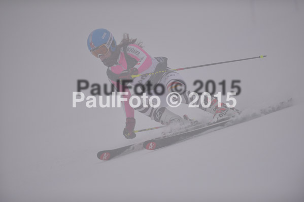 FIS + NJR Rennen Damen + Herren RS 2015