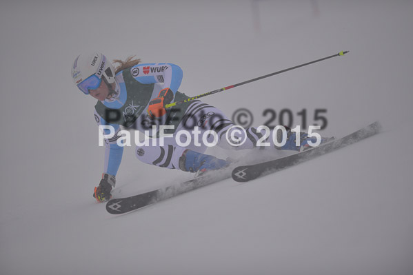 FIS + NJR Rennen Damen + Herren RS 2015