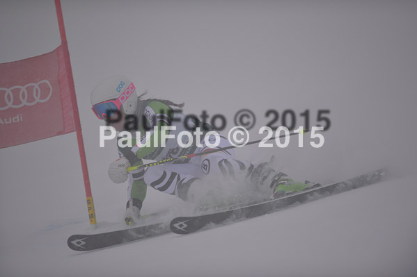 FIS + NJR Rennen Damen + Herren RS 2015