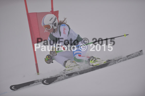 FIS + NJR Rennen Damen + Herren RS 2015