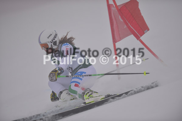 FIS + NJR Rennen Damen + Herren RS 2015