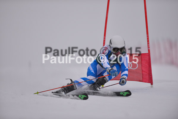FIS + NJR Rennen Damen + Herren RS 2015