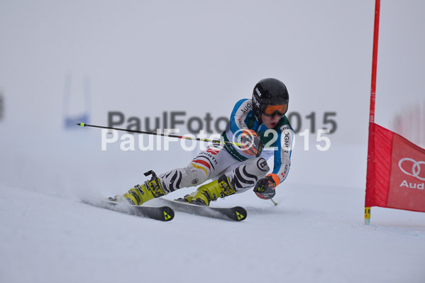 FIS + NJR Rennen Damen + Herren RS 2015