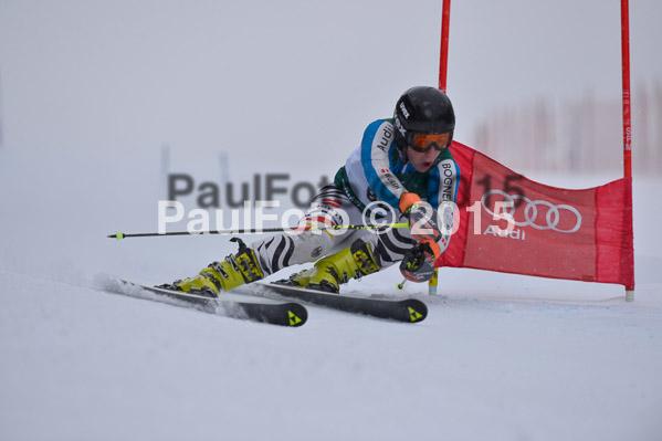 FIS + NJR Rennen Damen + Herren RS 2015