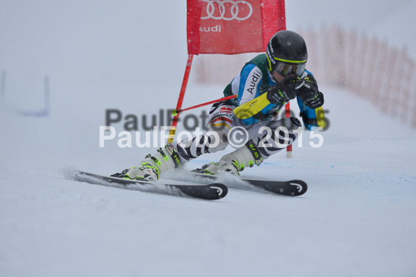 FIS + NJR Rennen Damen + Herren RS 2015