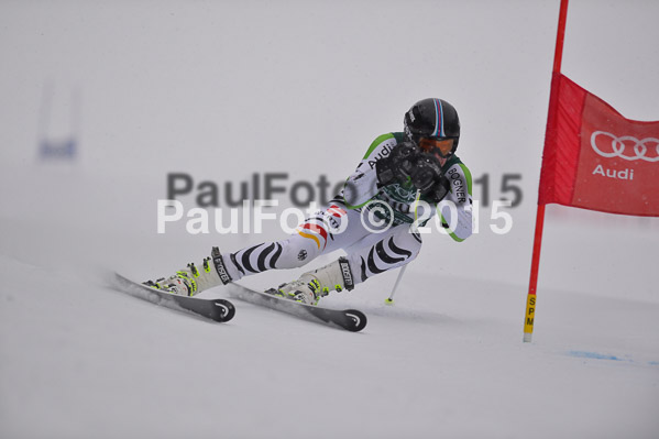 FIS + NJR Rennen Damen + Herren RS 2015