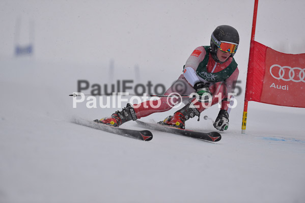 FIS + NJR Rennen Damen + Herren RS 2015