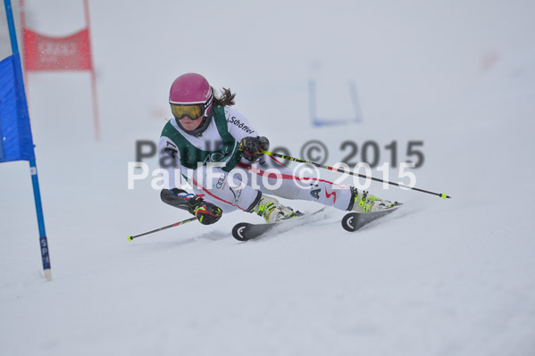 FIS + NJR Rennen Damen + Herren RS 2015