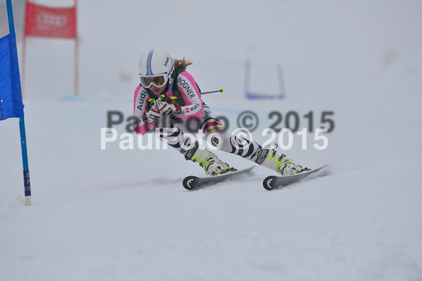 FIS + NJR Rennen Damen + Herren RS 2015