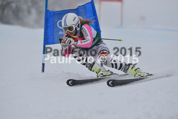 FIS + NJR Rennen Damen + Herren RS 2015