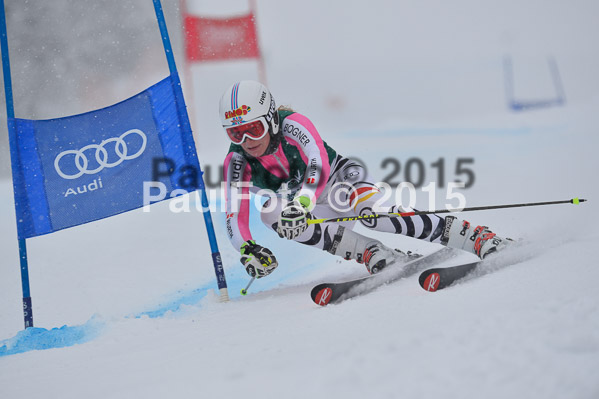 FIS + NJR Rennen Damen + Herren RS 2015
