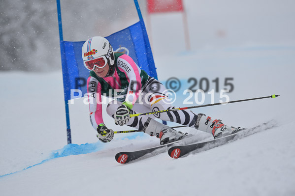 FIS + NJR Rennen Damen + Herren RS 2015