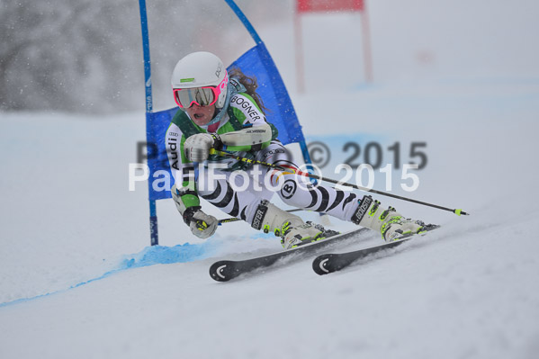 FIS + NJR Rennen Damen + Herren RS 2015