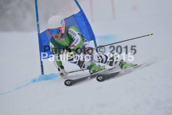 FIS + NJR Rennen Damen + Herren RS 2015