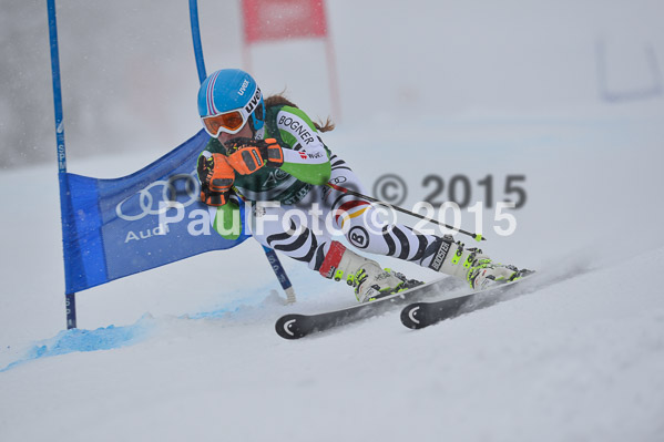 FIS + NJR Rennen Damen + Herren RS 2015