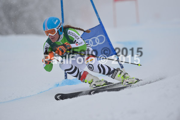 FIS + NJR Rennen Damen + Herren RS 2015