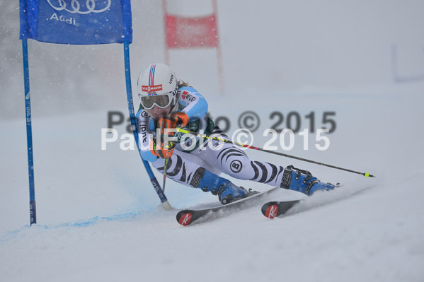FIS + NJR Rennen Damen + Herren RS 2015