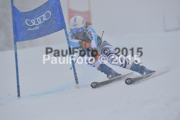 FIS + NJR Rennen Damen + Herren RS 2015