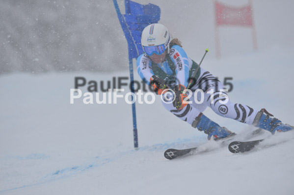 FIS + NJR Rennen Damen + Herren RS 2015