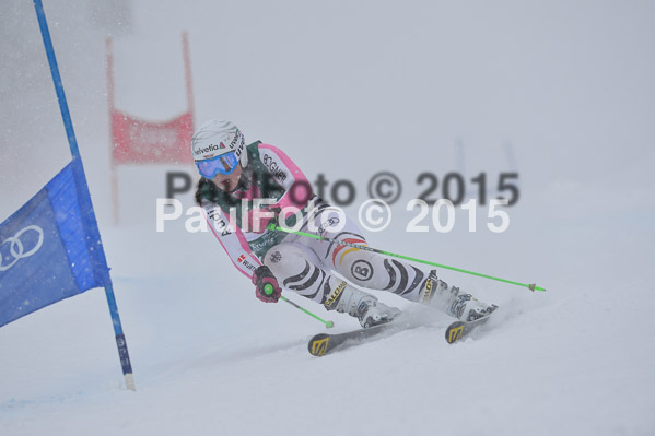 FIS + NJR Rennen Damen + Herren RS 2015