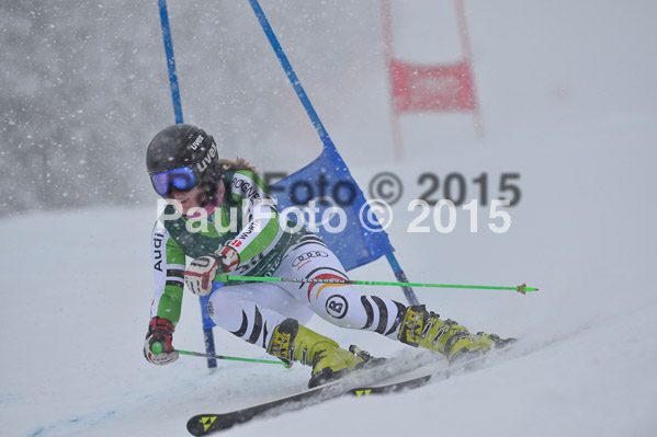 FIS + NJR Rennen Damen + Herren RS 2015