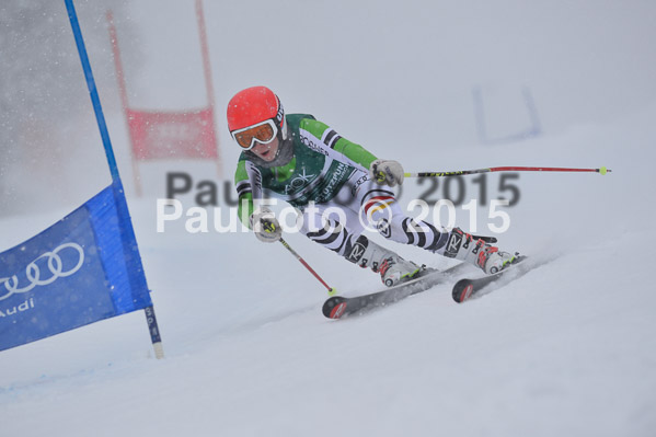 FIS + NJR Rennen Damen + Herren RS 2015
