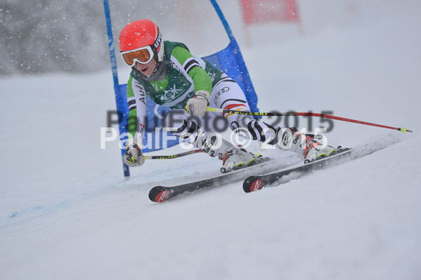FIS + NJR Rennen Damen + Herren RS 2015