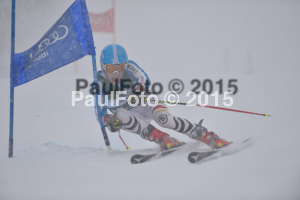 FIS + NJR Rennen Damen + Herren RS 2015