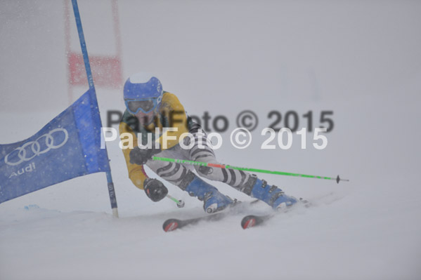 FIS + NJR Rennen Damen + Herren RS 2015