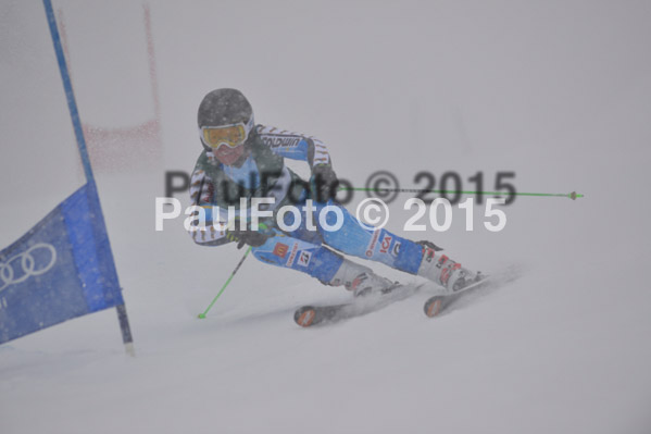 FIS + NJR Rennen Damen + Herren RS 2015