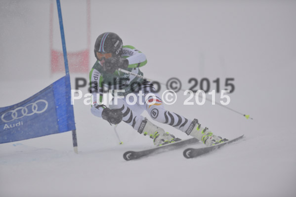 FIS + NJR Rennen Damen + Herren RS 2015