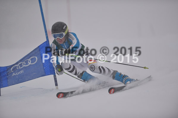 FIS + NJR Rennen Damen + Herren RS 2015