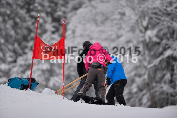 FIS SG + NJC Superkombi Damen 2015