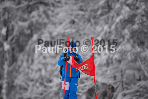 FIS SG + NJC Superkombi Damen 2015