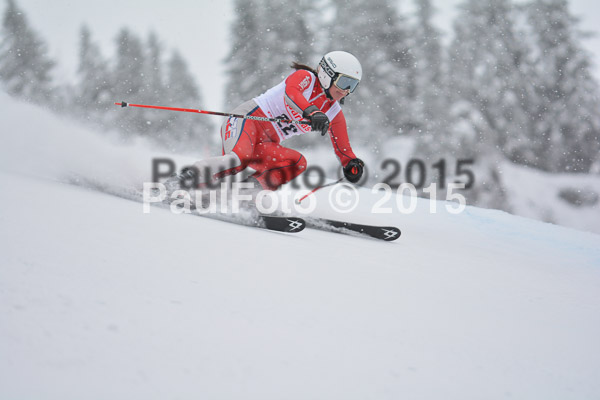 FIS SG + NJC Superkombi Damen 2015