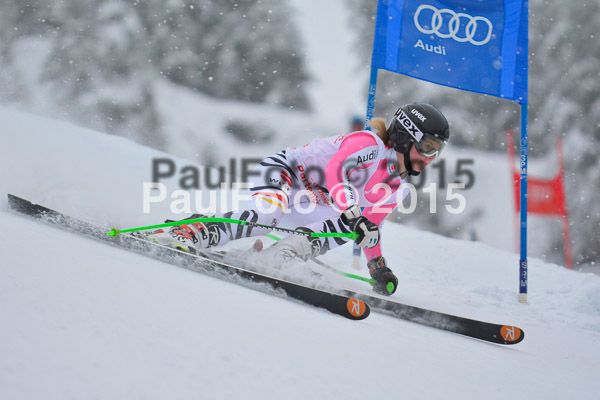 FIS SG + NJC Superkombi Damen 2015