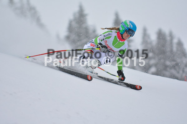 FIS SG + NJC Superkombi Damen 2015