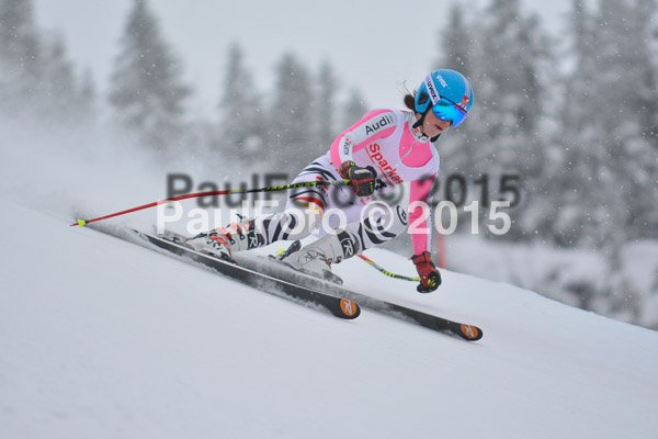 FIS SG + NJC Superkombi Damen 2015