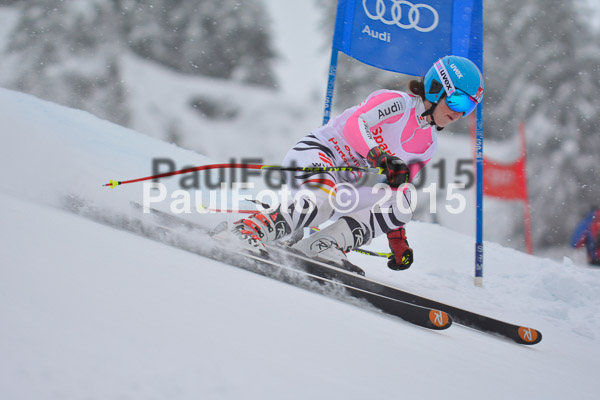 FIS SG + NJC Superkombi Damen 2015